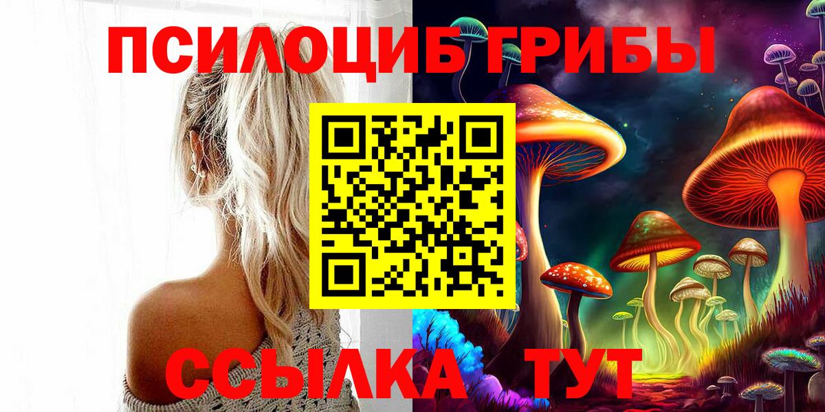 Псилоцибиновые грибы мицелий  Вход с VPN  Зима 
