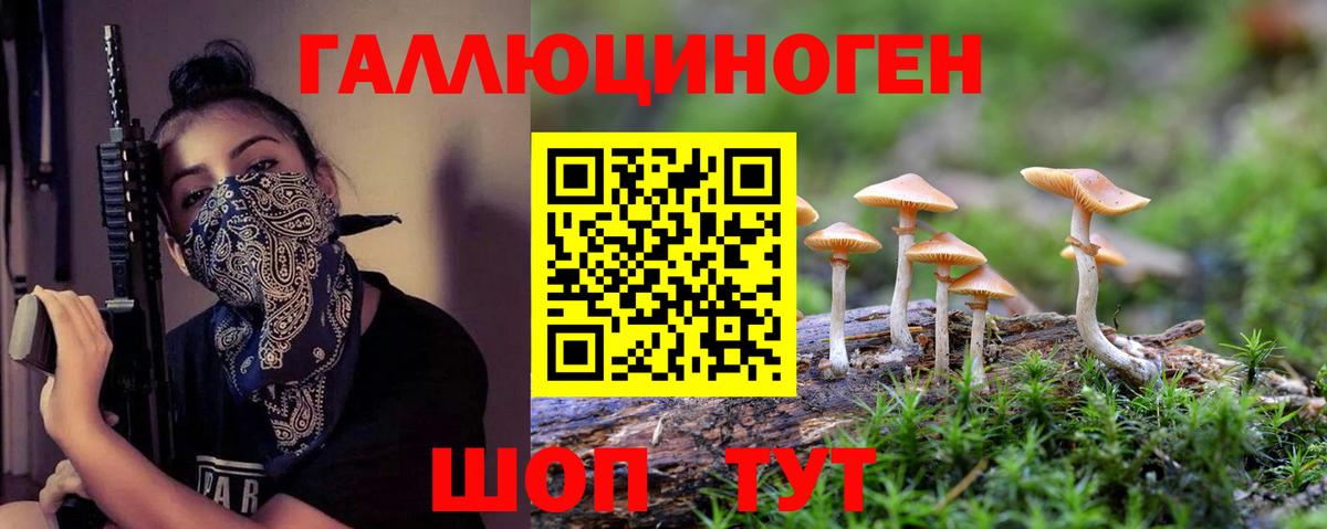 Галлюциногенные грибы прущие грибы Зима